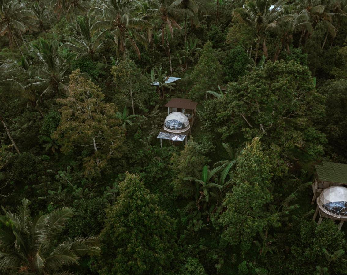 Bali Jungle Camping By Amerta Experience Selemadeg Dış mekan fotoğraf
