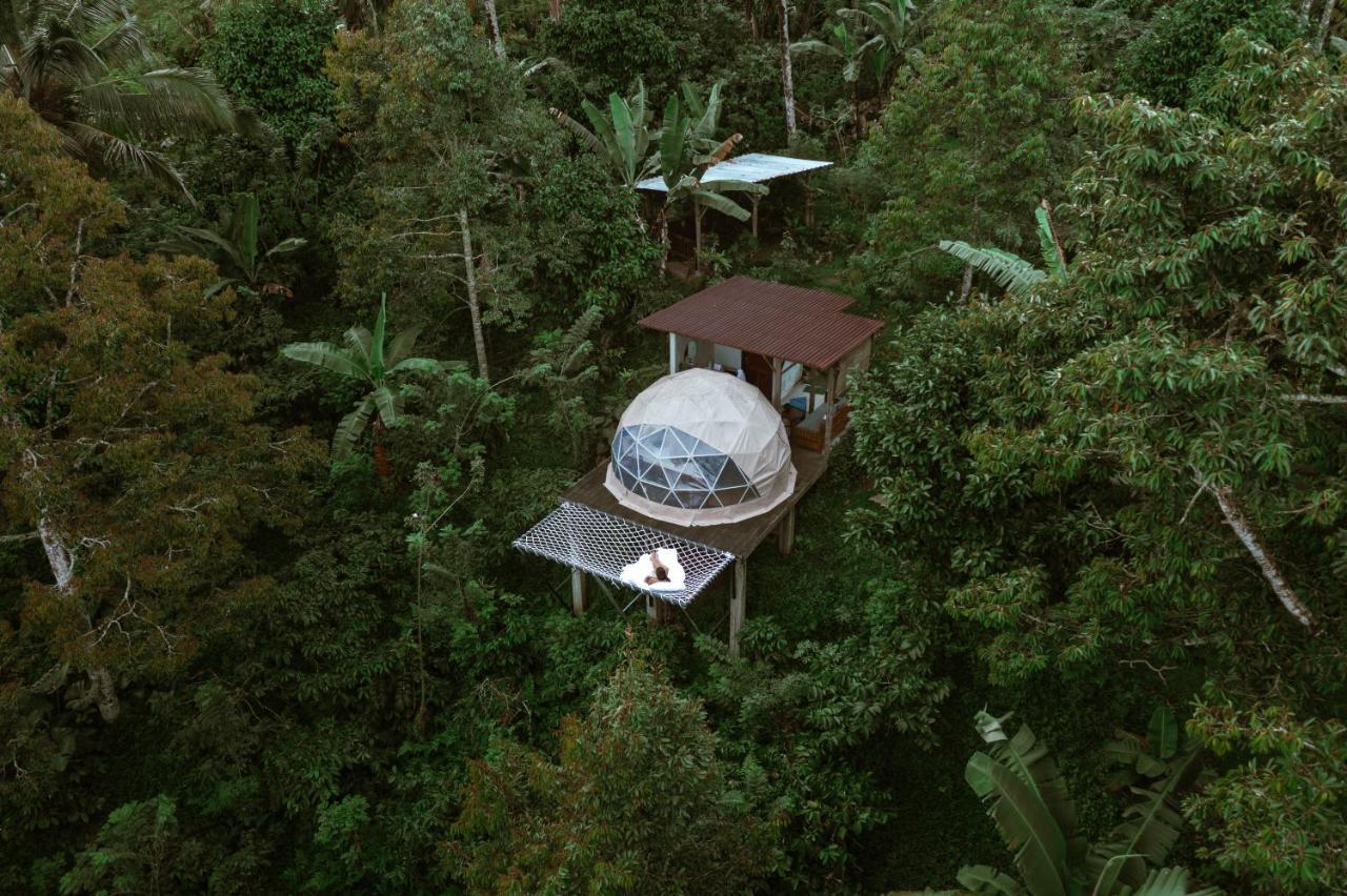 Bali Jungle Camping By Amerta Experience Selemadeg Dış mekan fotoğraf