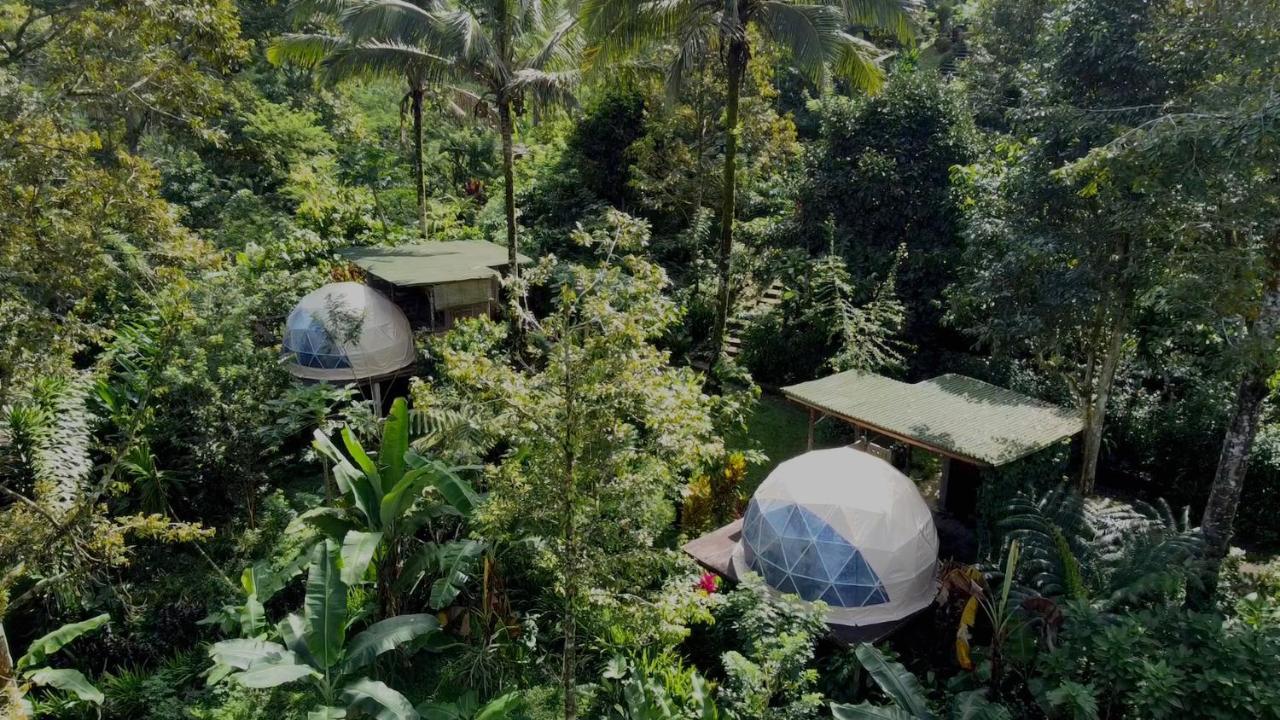 Bali Jungle Camping By Amerta Experience Selemadeg Dış mekan fotoğraf