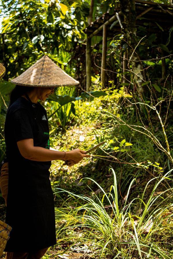 Bali Jungle Camping By Amerta Experience Selemadeg Dış mekan fotoğraf