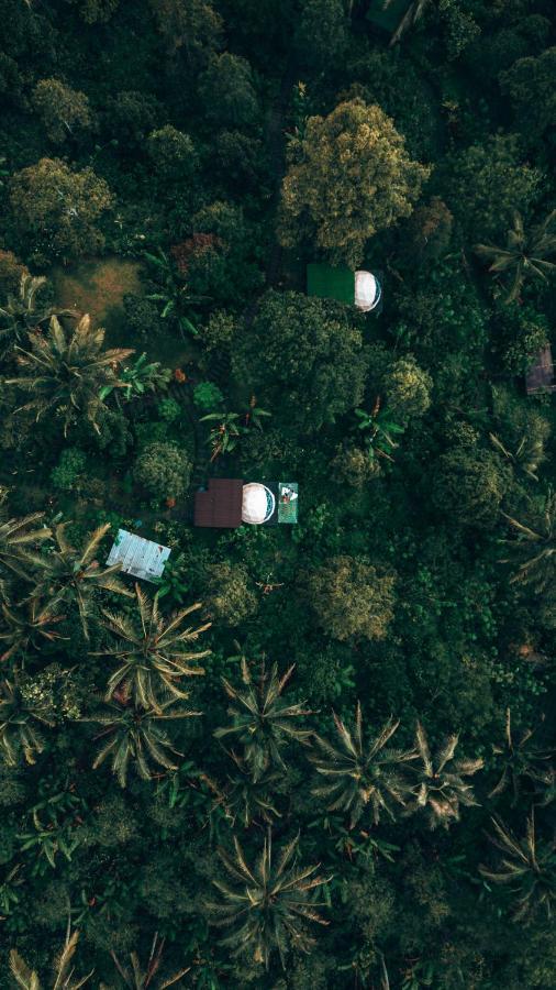 Bali Jungle Camping By Amerta Experience Selemadeg Dış mekan fotoğraf