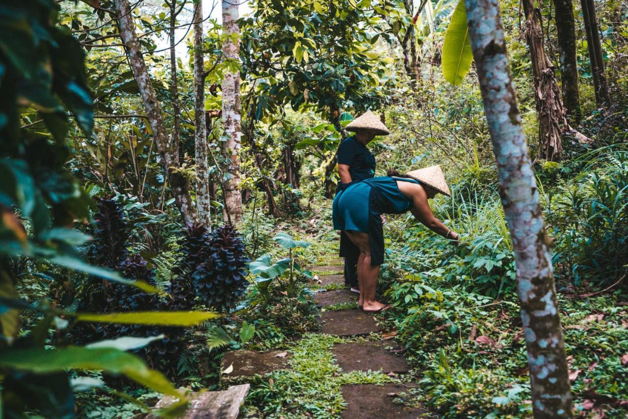 Bali Jungle Camping By Amerta Experience Selemadeg Dış mekan fotoğraf