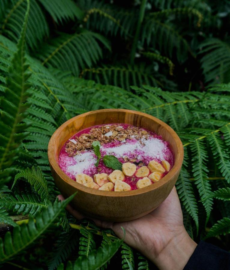 Bali Jungle Camping By Amerta Experience Selemadeg Dış mekan fotoğraf