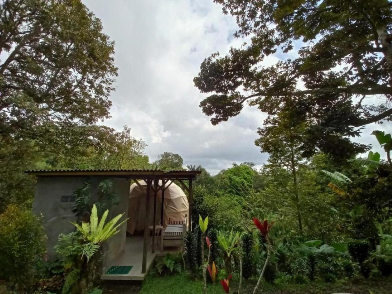 Bali Jungle Camping By Amerta Experience Selemadeg Dış mekan fotoğraf