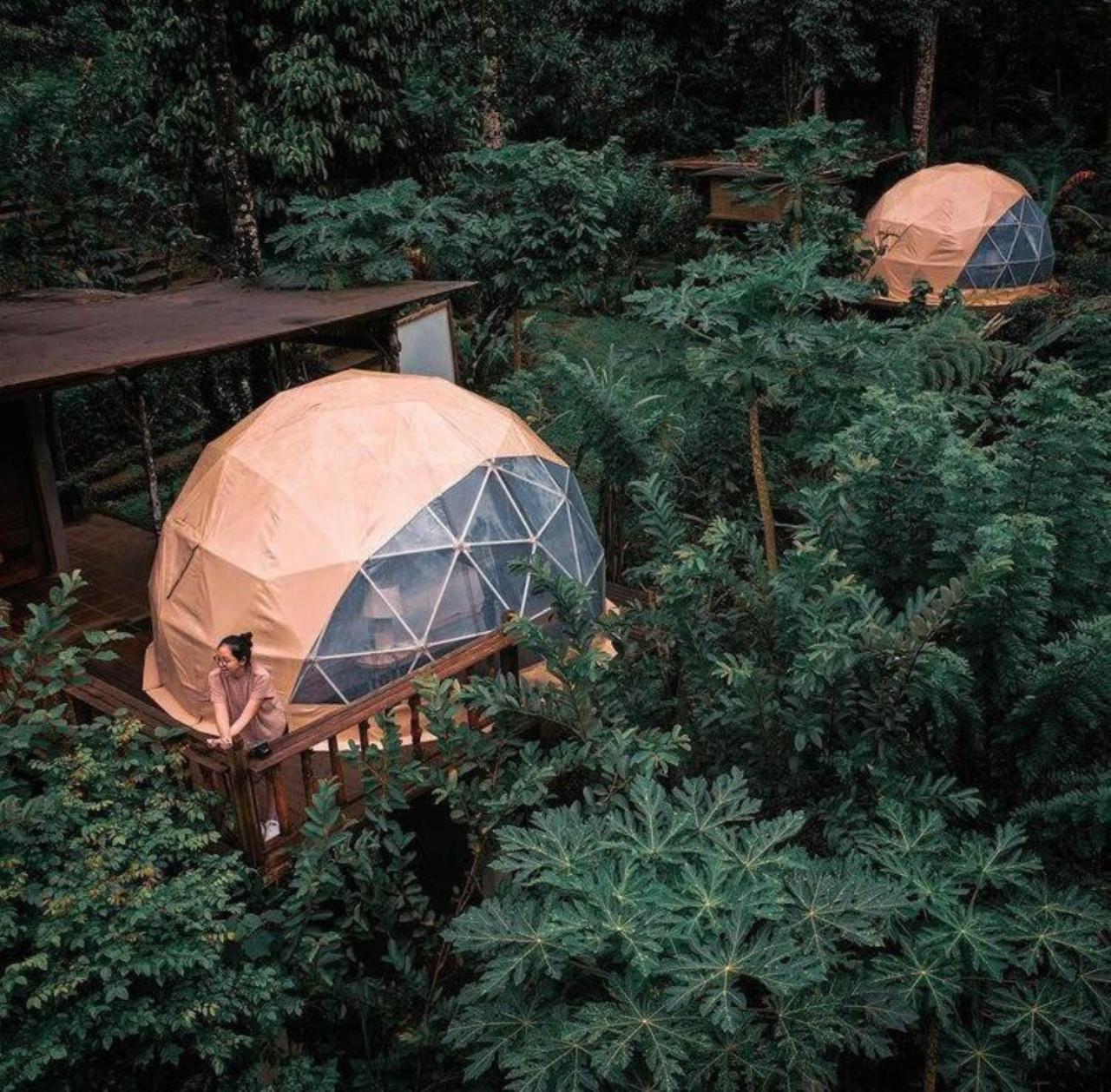 Bali Jungle Camping By Amerta Experience Selemadeg Dış mekan fotoğraf